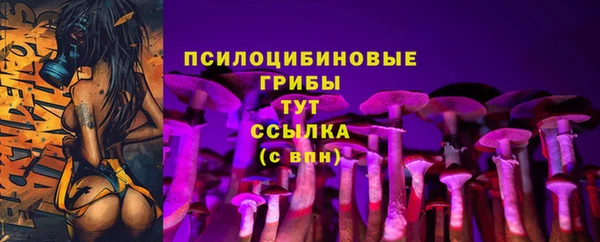 герыч Коряжма