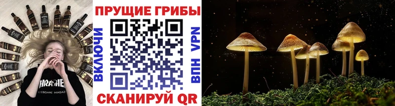 Псилоцибиновые грибы мухоморы  Сольвычегодск 